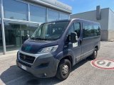 Fiat Ducato minibus 