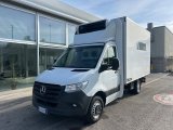 Mercedes-Benz Sprinter 413 isotermico con gruppo frigo 