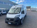 Fiat Ducato furgone
