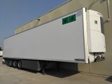 LAMBERET SR2 GREEN LINER